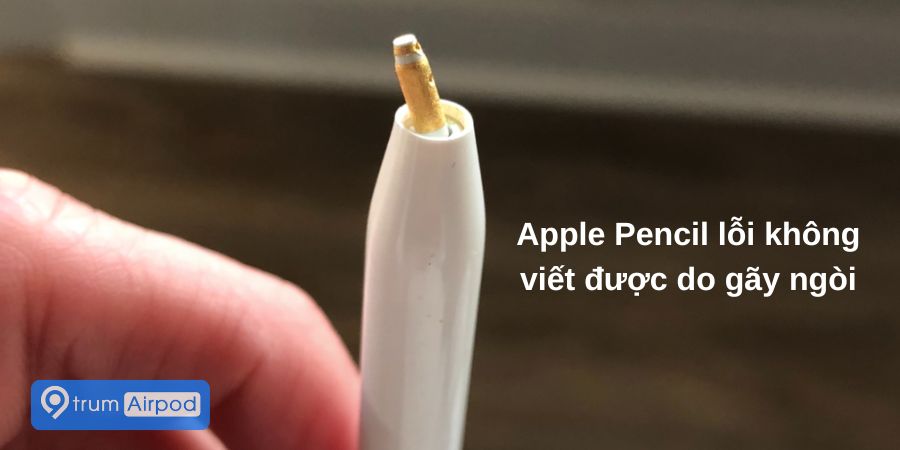 apple pencil bị gãy ngòi