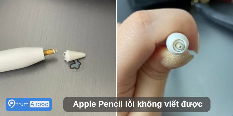 Apple Pencil không viết được