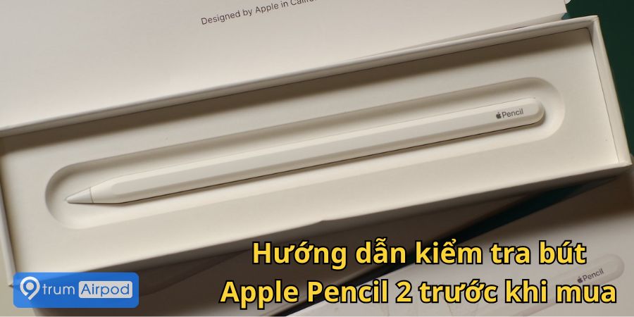 Hướng dẫn kiểm tra Apple Pencil 2 trước khi mua