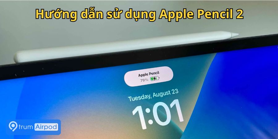 Hướng dẫn sử dụng Apple Pencil 2 cho người mới bắt đầu