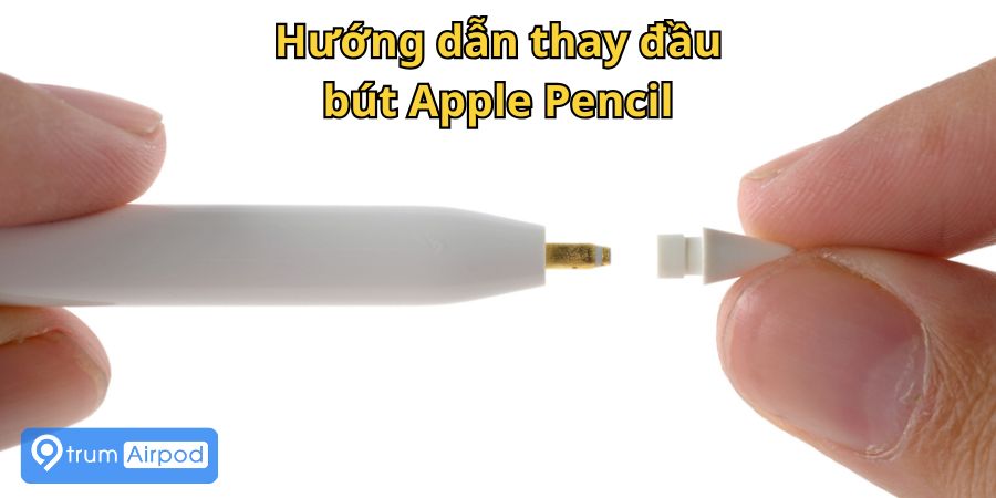 Cách thay đầu bút Apple Pencil